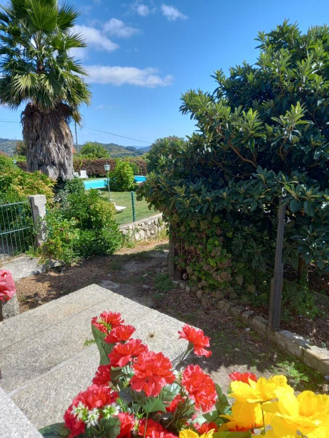 Quinta Da Casa Grande Pinheiro Guest House Baiao Ngoại thất bức ảnh