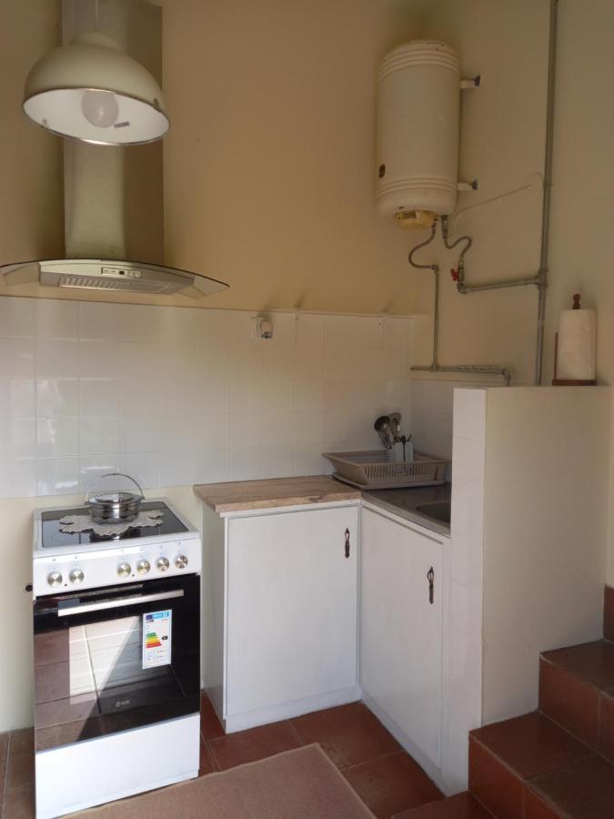 Quinta Da Casa Grande Pinheiro Guest House Baiao Ngoại thất bức ảnh