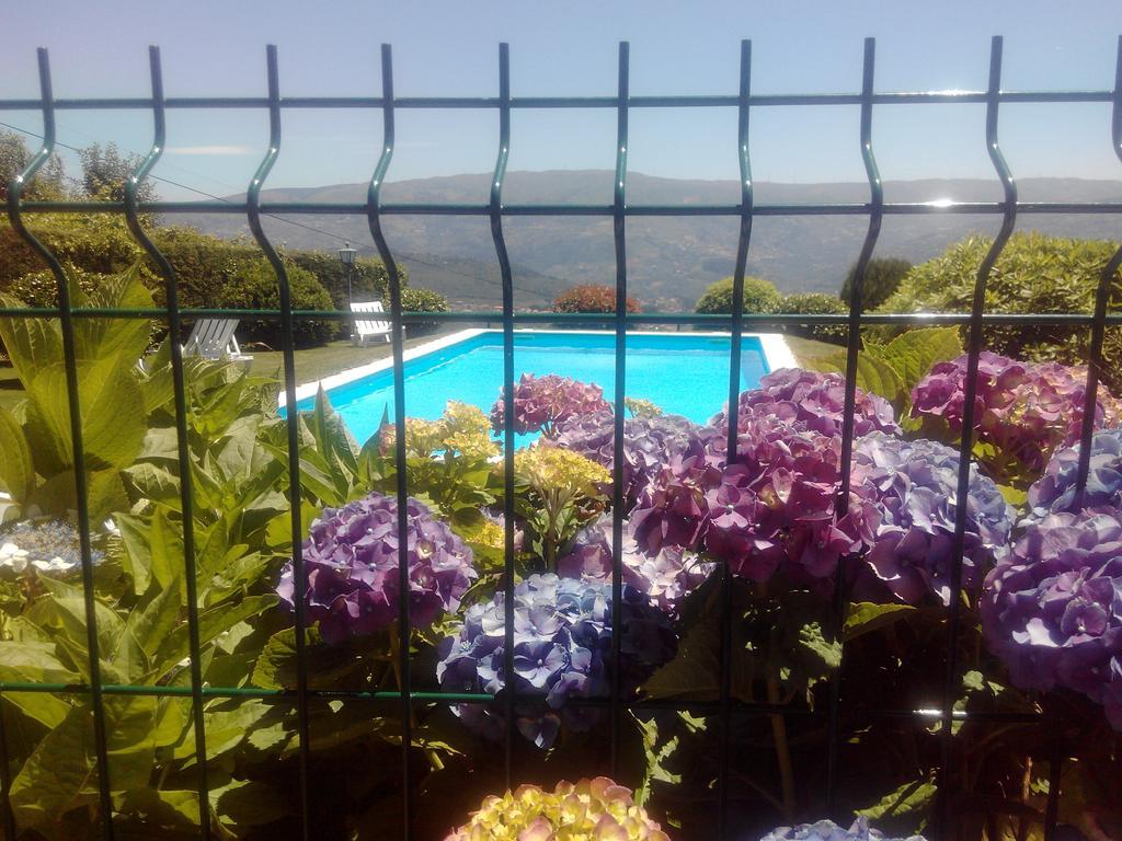 Quinta Da Casa Grande Pinheiro Guest House Baiao Ngoại thất bức ảnh
