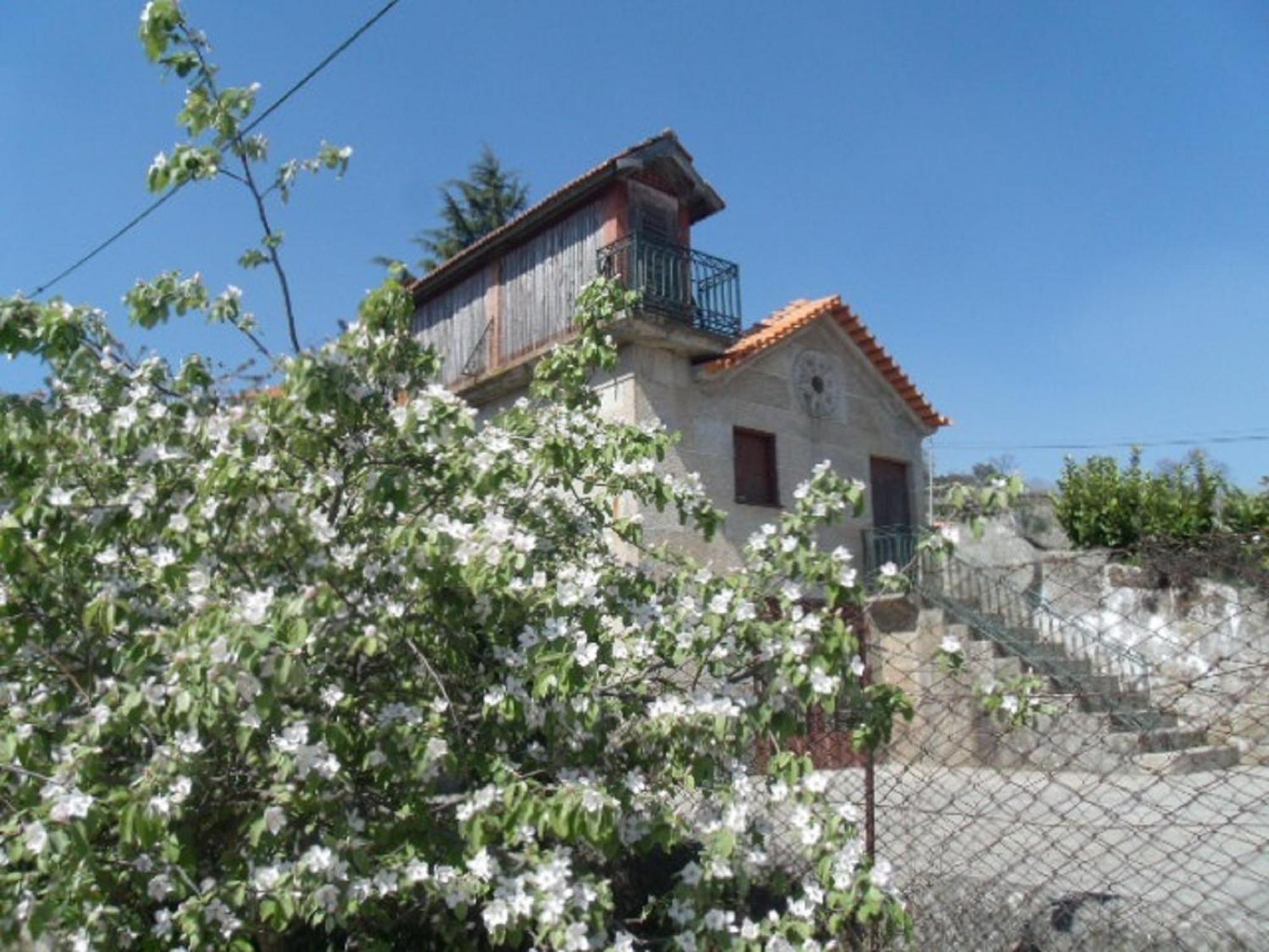 Quinta Da Casa Grande Pinheiro Guest House Baiao Ngoại thất bức ảnh